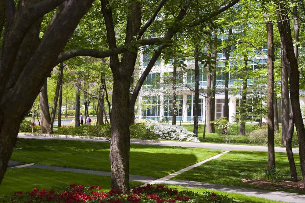 Falls Church Marriott Fairview Park Bagian luar foto